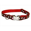 Sassy Dog Wear Sassy Dog Wear POLKA DOT-BRN-MULTI4-C Dot Dog Collar; Brown & Multi - Large POLKA DOT-BRN/MULTI4-C